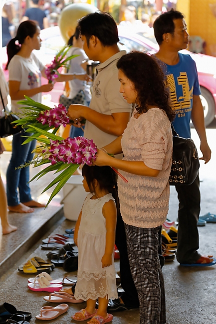 Wat Krathum Suea Pla-039
